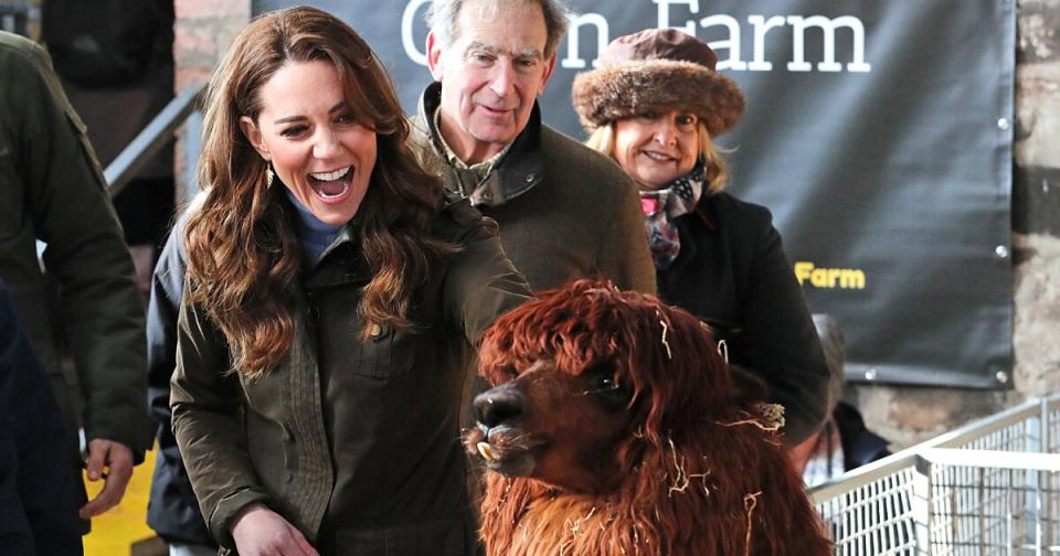 Princess on the Farm! Best Photos from Kate Middleton's Whirlwind Trip to Northern Ireland and Scotland