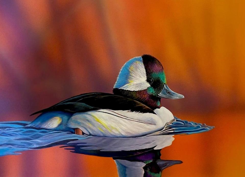 This male bufflehead duck was painted by Ray Easton of Webster, N.Y. It will appear on the 2025 Ohio Wetlands Stamp, a required purchase by waterfowl hunters.