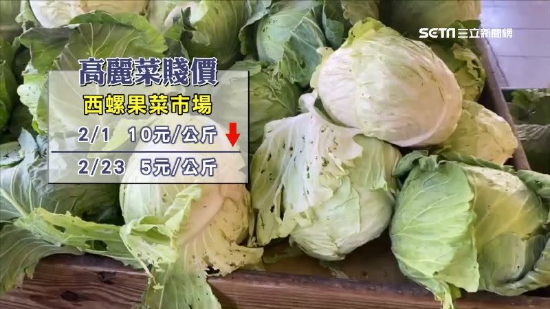 西螺果菜市場高麗菜價格狂跌，每公斤僅剩5元。