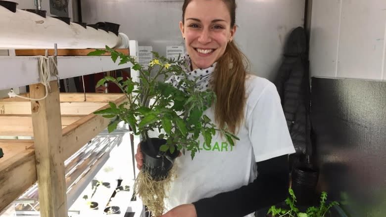 Grow Calgary goes hydroponic to produce food for people in need