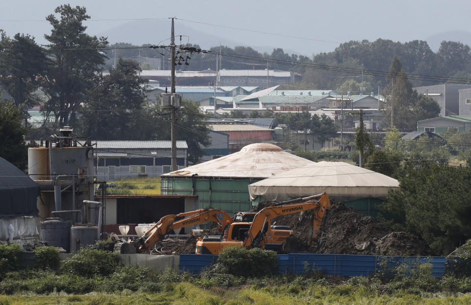 Backhoes dig a pit to bury culled pigs at a farm in Paju, South Korea, Tuesday, Sept. 17, 2019. South Korea is culling thousands of pigs after confirming African swine fever at a farm near its border with North Korea, which had an outbreak in May. (AP Photo/Ahn Young-joon)