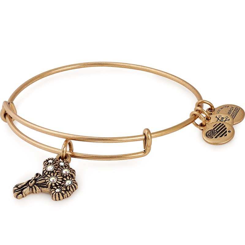 Alex and Ani Promo Code — Celeb-Loved Affordable Jewelry Brand