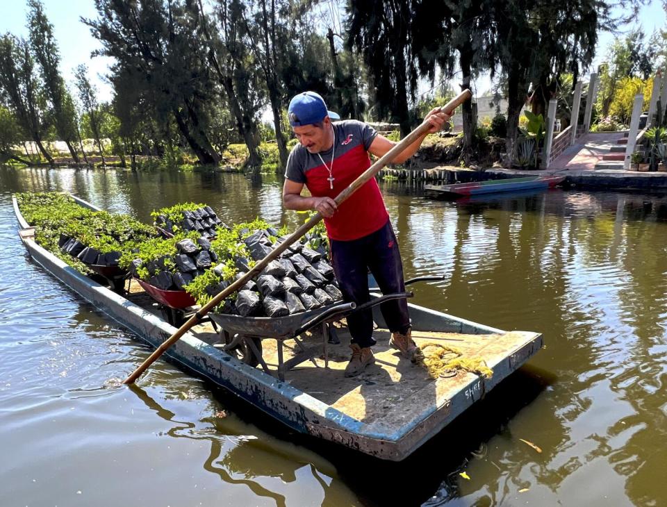 A man who is standing uses a pole to propel a long, narrow boat filled with nursery plants.