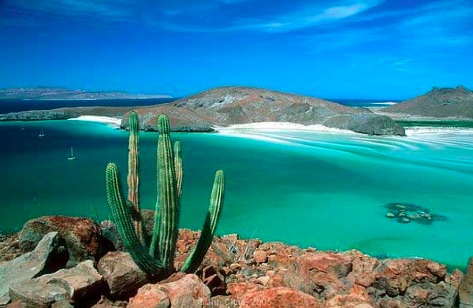 <em>The footage of the shoal of rays was captured in the waters of La Paz, Mexico (Wikipedia)</em>