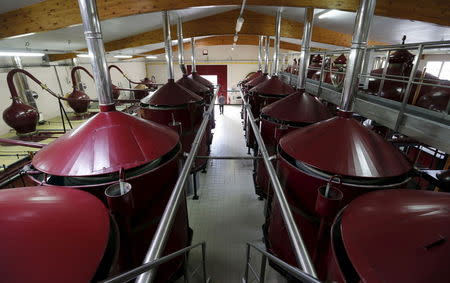 A general view shows the distillery with copper stills, also known as alambics, used for a double distillation process at Remy Martin house in Cognac, southwestern France, November 6, 2015. REUTERS/Regis Duvignau