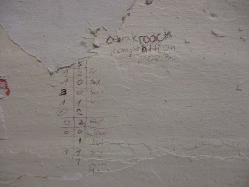 A table titled ‘cockroach competition’ showed the number of times prisoners had found the vermin in their cells (HM Prisons Inspectorate)