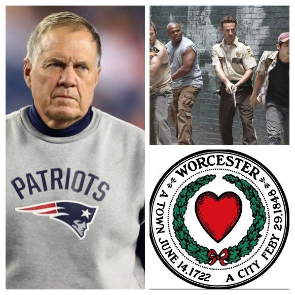 Classes on Bill Belichick, the TV show "The Walking Dead" and the city of Worcester are offered at local colleges.