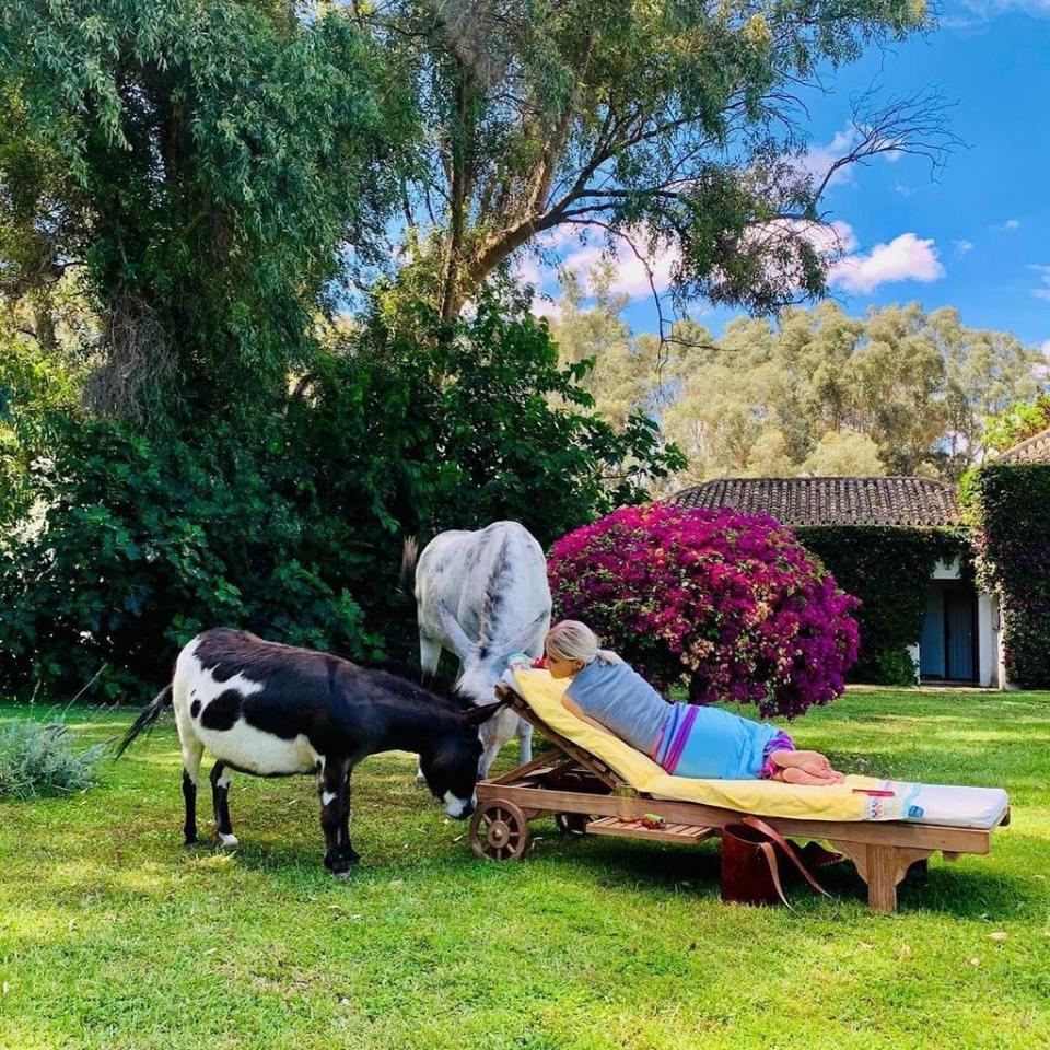 Eugenia Martínez de Irujo con su burro Benjamín y su caballo López en Sevilla