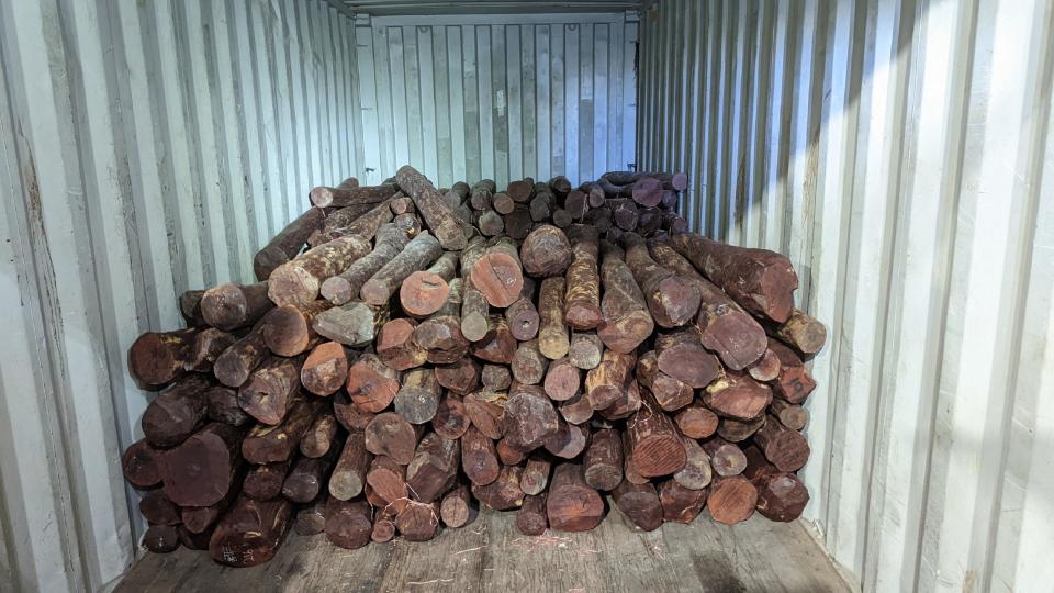 香港海關昨日在葵涌貨櫃碼頭檢獲約6,500公斤懷疑受管制紫檀木材，估計市值約410萬元。圖示檢獲的懷疑受管制紫檀木材。