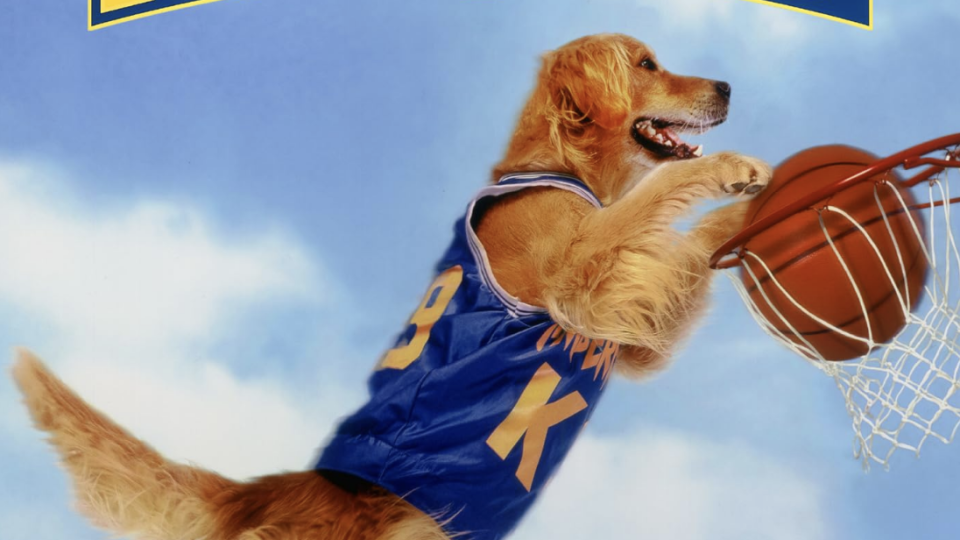 air bud