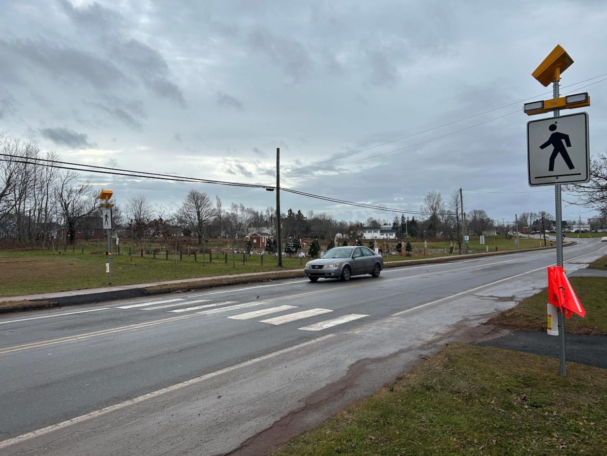 Flashing lights are now perched on the top of poles at either side of the crosswalk across Bunbury Road in Stratford.  (Stacey Janzer/CBC - image credit)