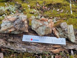 spodumene-bearing pegmatites