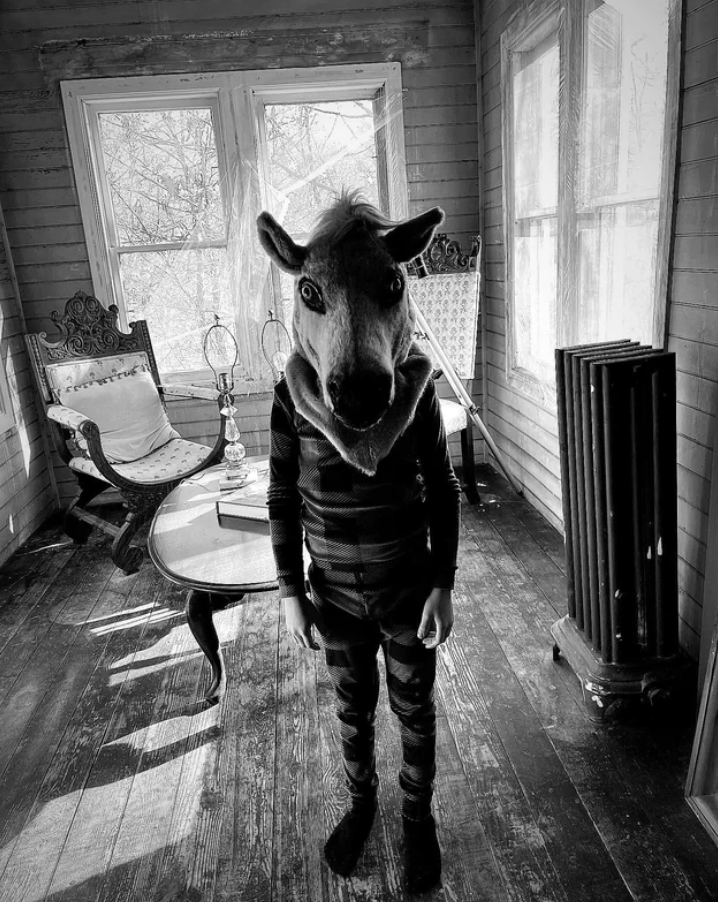 A person standing in a small room and wearing a huge horse-head covering that extends to their shoulders