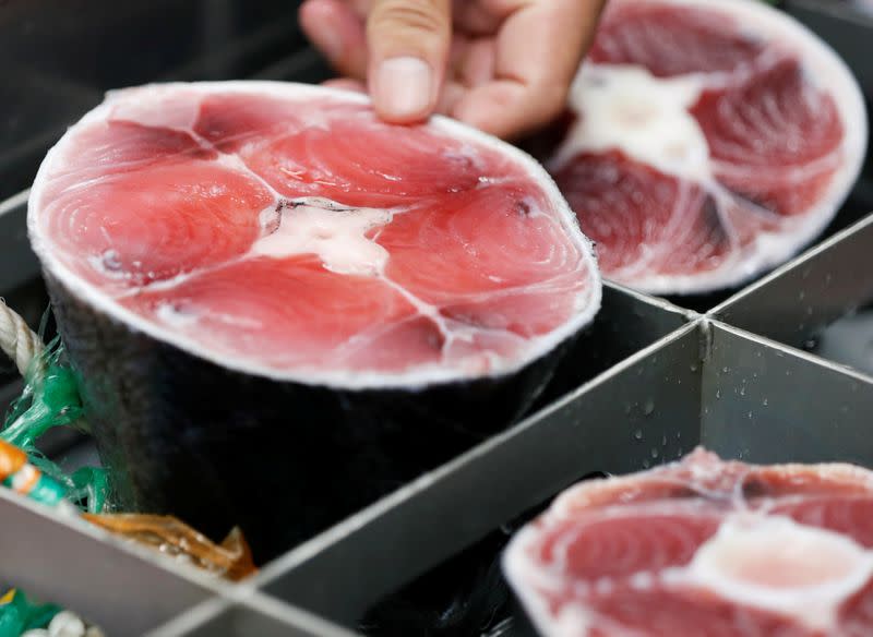 Kazuhiro Shimura, a director at Dentsu Group's Future Creative Center, touches a tail part of a tuna as he demonstrates the 'Tuna Scope' in Miura, Japan