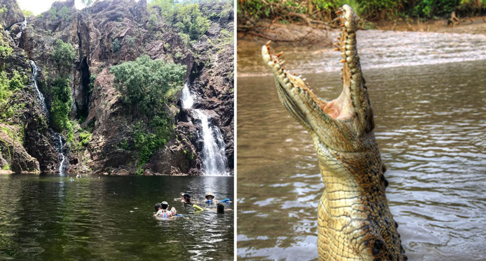 A Northern Territory swimming spot, Wangi Falls, has been closed after a swimmer was bitten by a crocodile.