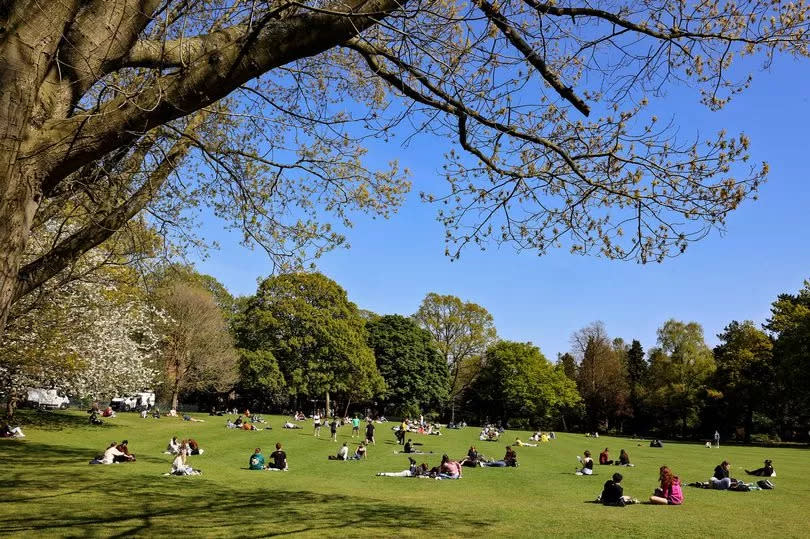 Crowds enjoying a beautiful sunny day in Belfast's Botanic Gardens.