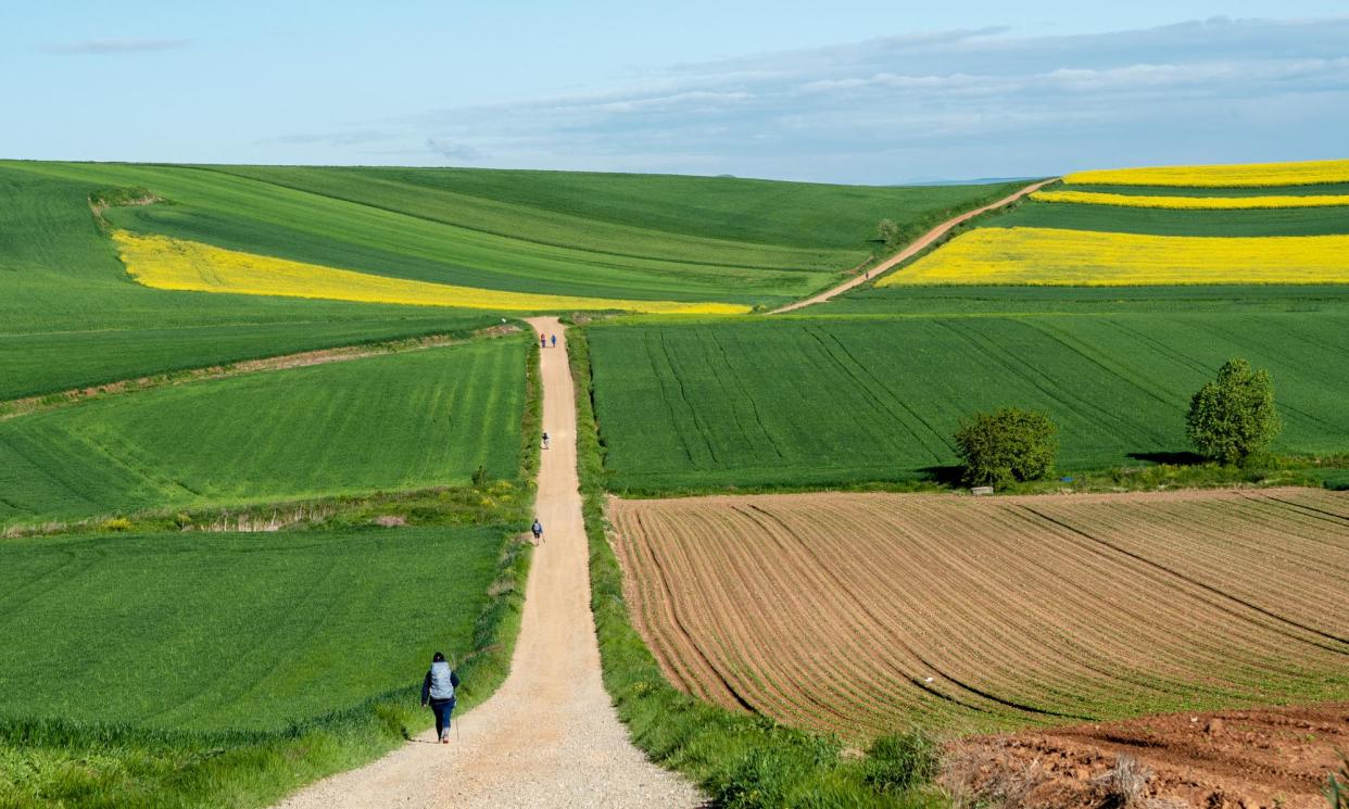 <span>‘There is a sense of wanting to discover something beyond their own lives.’</span><span>Photograph: NurPhoto/Getty</span>