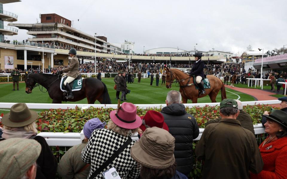 General view as Kemboy is seen ahead of today's races