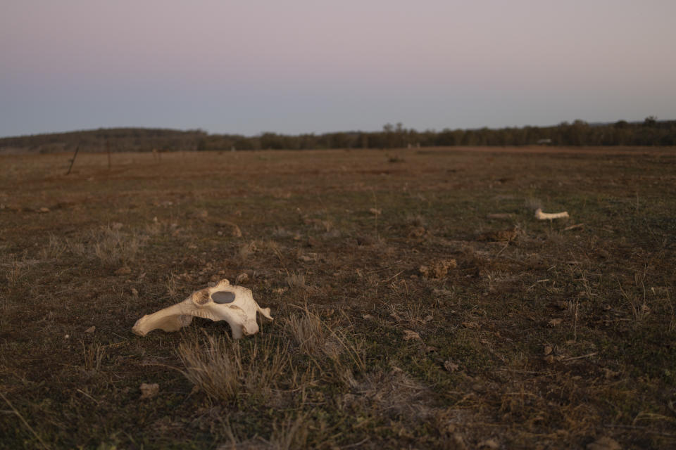 Farmers all throughout rural Australia are struggling and Mr Jones pressed the Prime Minister about how the government is helping them. Source: Brook Mitchell / Getty Images.