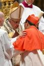 Pope Francis injects new blood into cardinals club