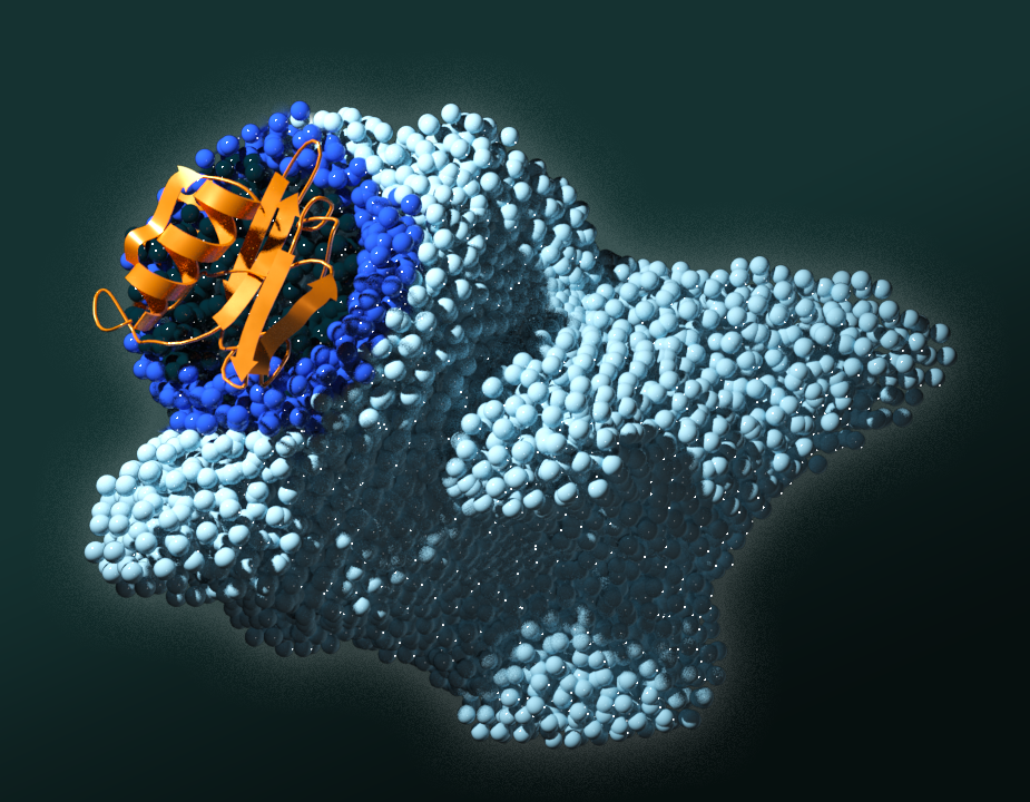 ORNL scientists identified four amino acids key to signaling pathways in the PAN protein domain. Mutating any of those four resulted in disruption of the signal that tells cancer cells to multiply and spread in humans. Credit: