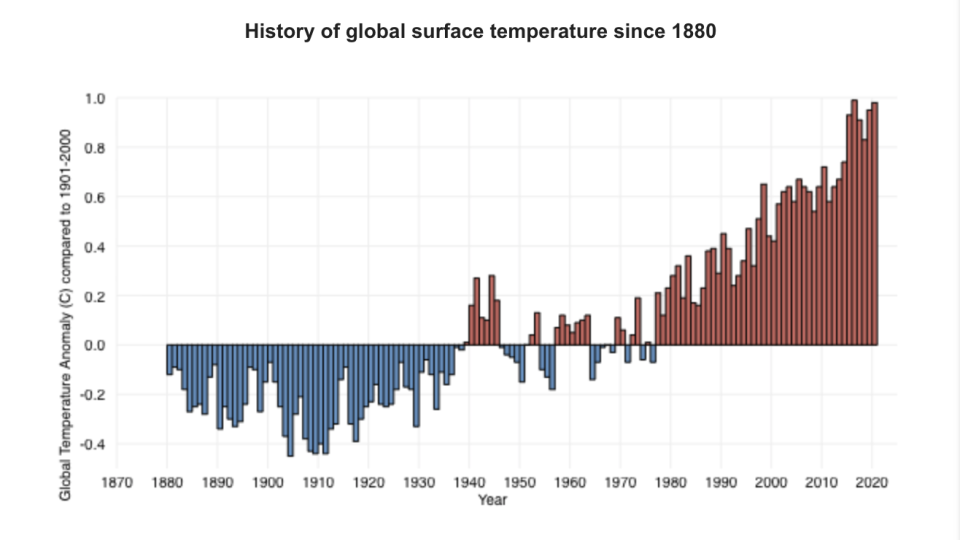 Global surface temperatures since 1880