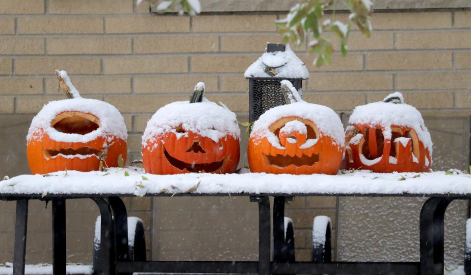 2023 is not the first time Wisconsinites saw snow on Halloween. Here, pumpkins are covered in snow in Glendale on Oct. 31, 2019. A Halloween snowstorm that day moved across southeastern Wisconsin, bringing wet, slushy accumulations. Total snow accumulations ranged from 2 to 5 inches. Photo by Mike De Sisti/Milwaukee Journal Sentinel
(Credit: Mike De Sisti/Milwaukee Journal Sentinel)