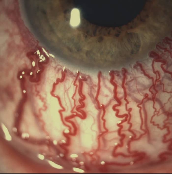 Close-up of a human eye showing intricate details of the iris and blood vessels