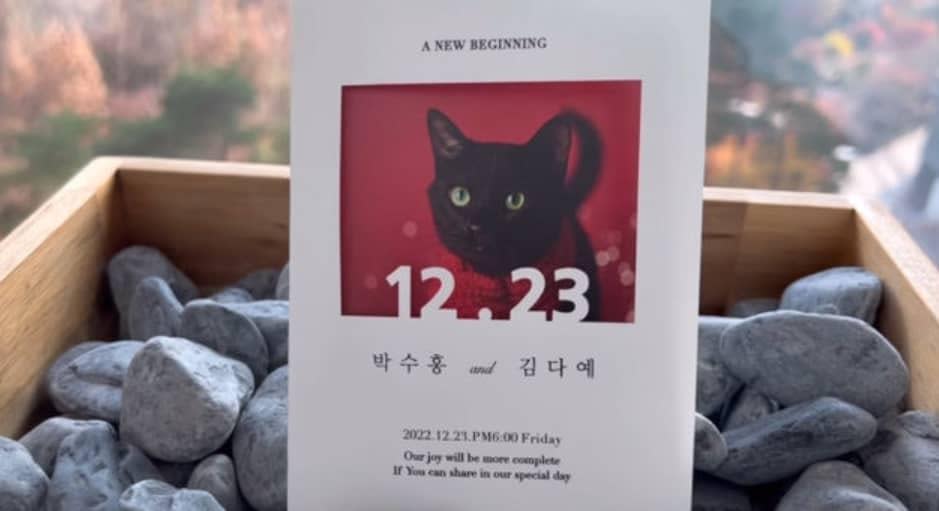 朴修弘曾公布以愛貓為主題的婚宴邀請卡。（圖／翻攝自blackcatdahong IG）