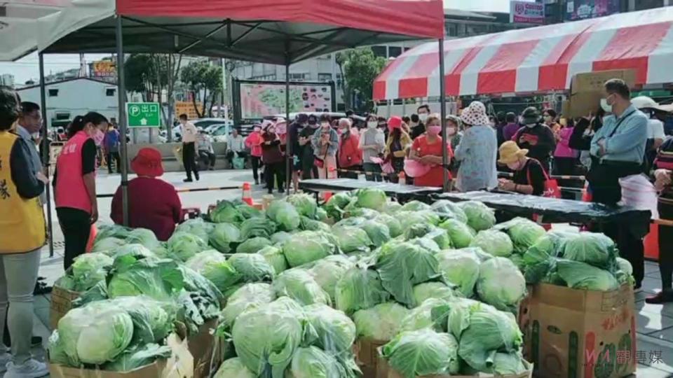 ▲產地高麗菜價格崩跌，永靖鄉公所在廣場送出500粒高麗菜，每人可以領取一粒，民眾大排長龍。（圖／記者陳雅芳攝，2023.03.23）