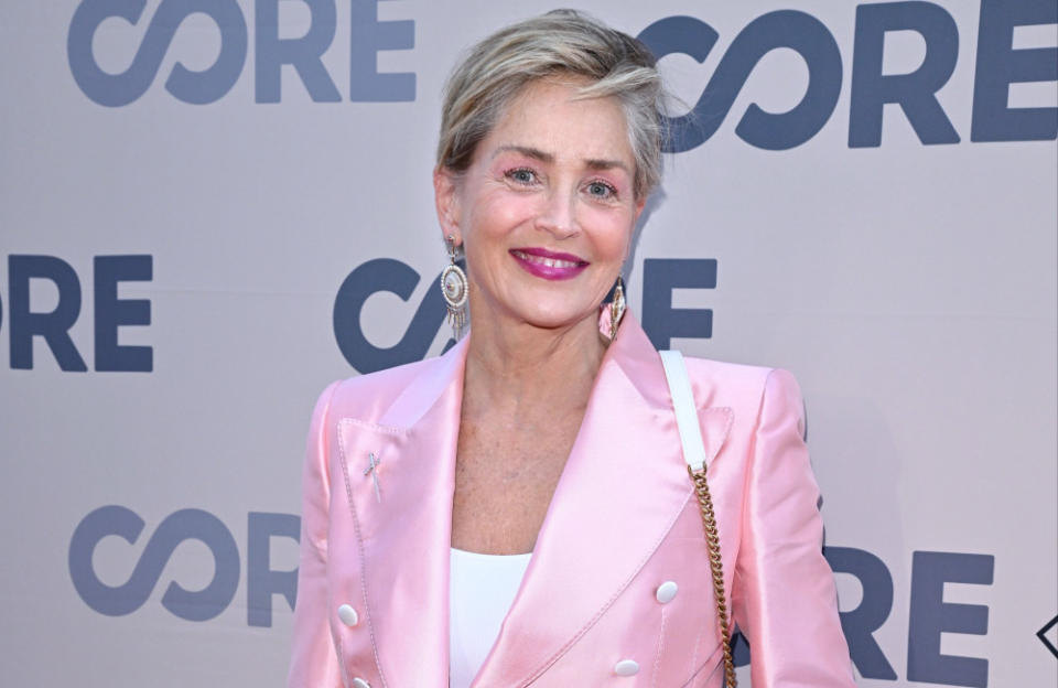 Sharon Stone says her devotion to AIDS research charities ruined her acting career credit:Bang Showbiz