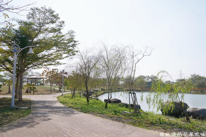 屏東新埤鄉綜合休閒公園｜向日葵花海