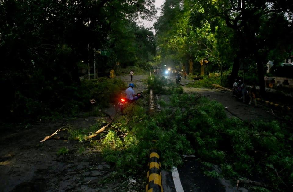 People move past fallen tree branches after heavy wind and rain in New Delhi (Reuters)