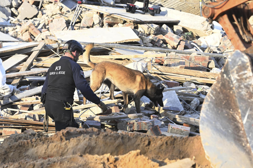 A sniffer dog with an emergency worker on the scene of a collapsed building in George, South Africa, Tuesday, May 7, 2024. Five workers have been killed with 49 still trapped after the building under construction collapsed Monday. (AP Photo)