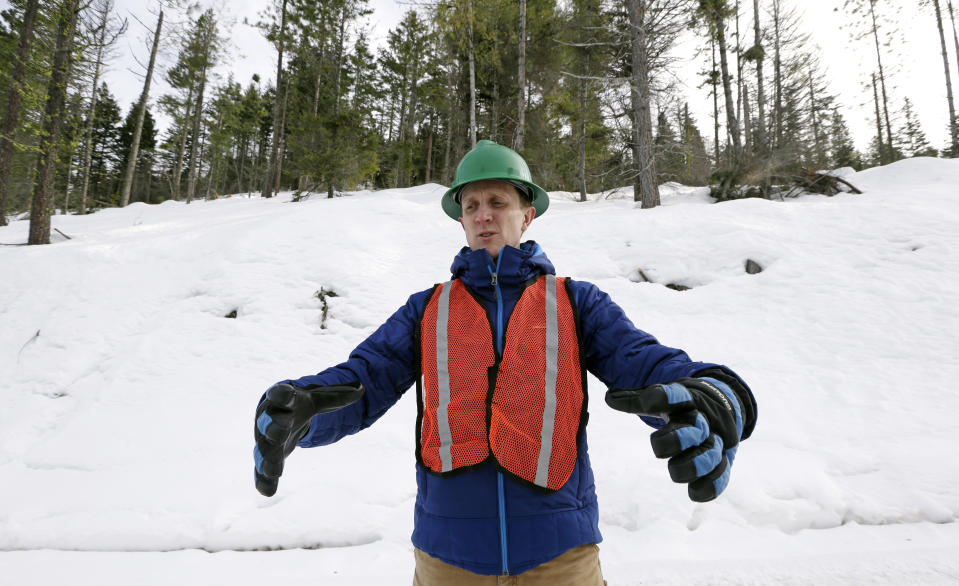 In this Feb. 22, 2017, photo, Ryan Haugo, senior forest ecologist for the Nature Conservancy, describes large trees being left while smaller ones are thinned on a 100-acre patch on private land they own overlooking Cle Elum Lake, in Cle Elum, Wash. As part of a broader plan by the nonprofit environmental group to restore the pine forests of the Central Cascades so they are more resilient to wildfires and climate change, they're cutting down trees to save the forest. (AP Photo/Elaine Thompson)