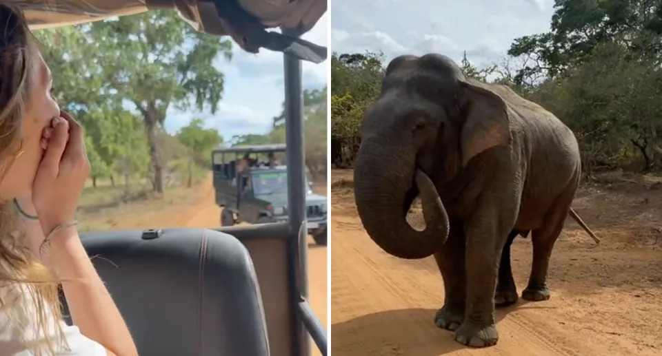 A photo of Georgia Debretton, reacting to the elephant eating her phone in Sri Lanka. A photo of the elephant eating it.
