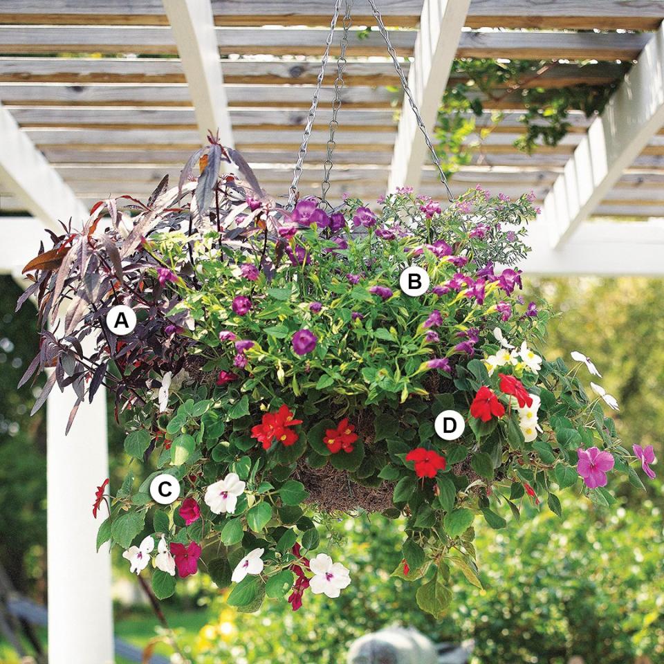 Use these easy plant-by-numbers recipes to put together the most beautiful hanging baskets in your neighborhood.