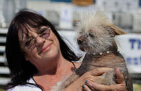 <p>Linda Elmquist, of Tucson, Ariz., holds up Josie, her Chinese crested mix, before the start of the World’s Ugliest Dog Contest at the Sonoma-Marin Fair Friday, June 23, 2017, in Petaluma, Calif. (Photo: Eric Risberg/AP) </p>