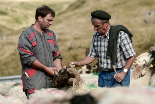 The arrival of two bears in the Pyrenees in October 2018 left farmers feeling agitated