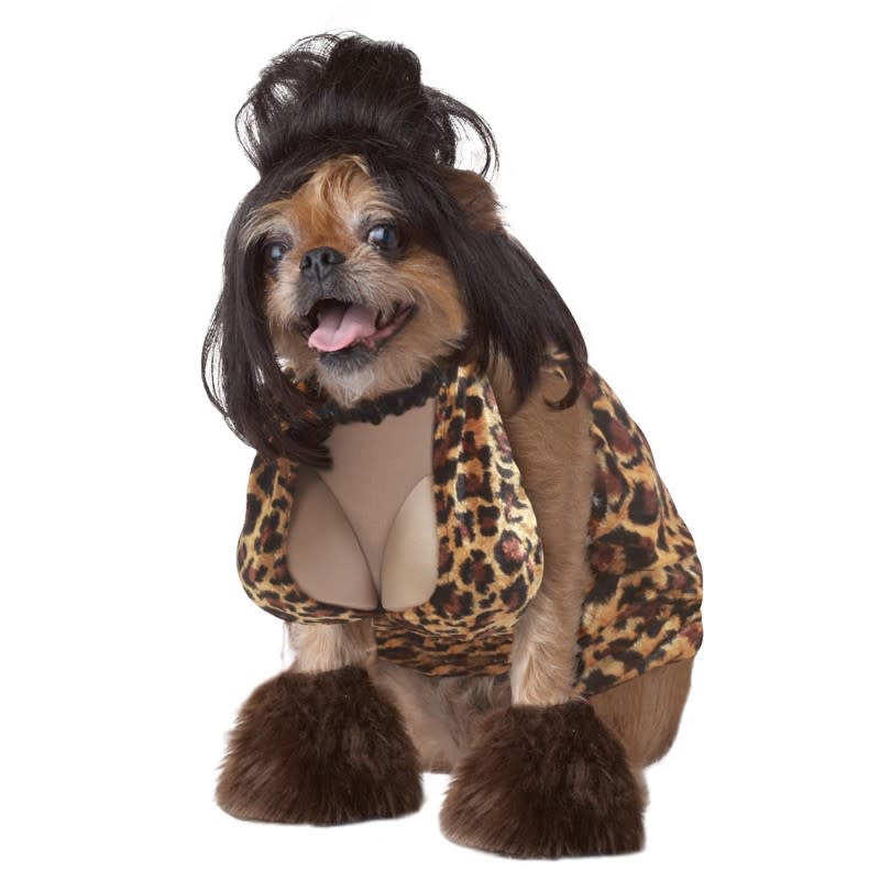 Photo by: Dog Halloween Costume Shop<br><br><b>Snooki</b> <br> If your dog is a fan of the reality tv shows, can't go wrong with Snooki.