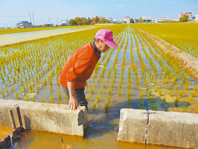 雲林縣水情吃緊農業供水減半，春耕啟動分區輪灌與水井供水。（本報資料照片）