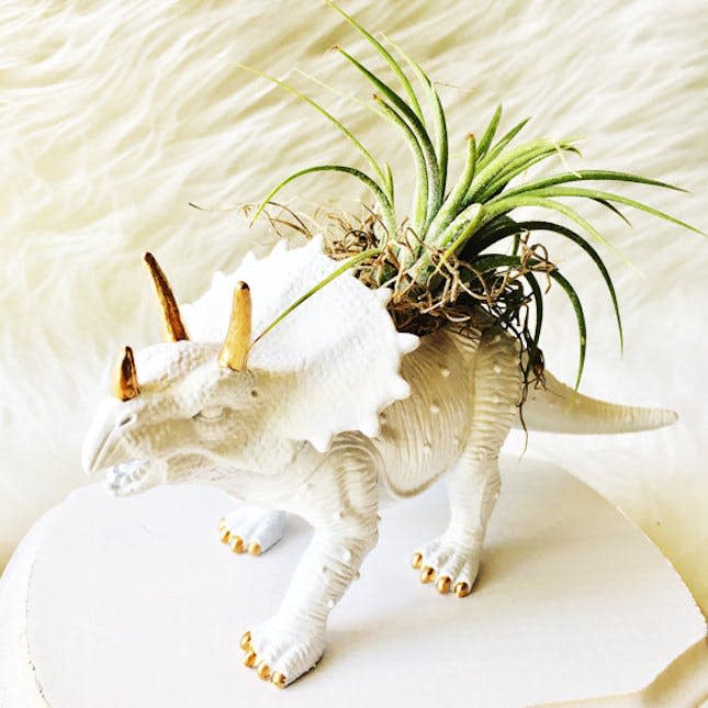 dino_planter