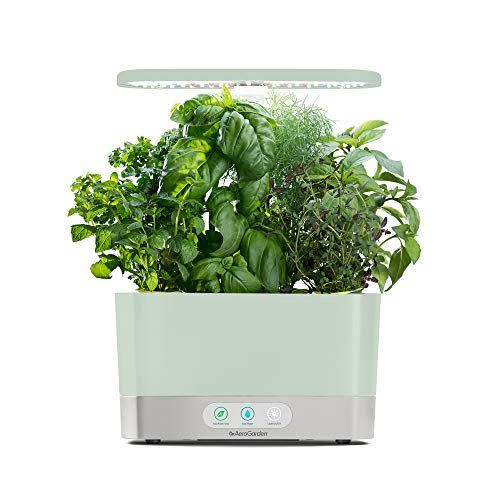 AeroGarden Sage Harvest Indoor Garden