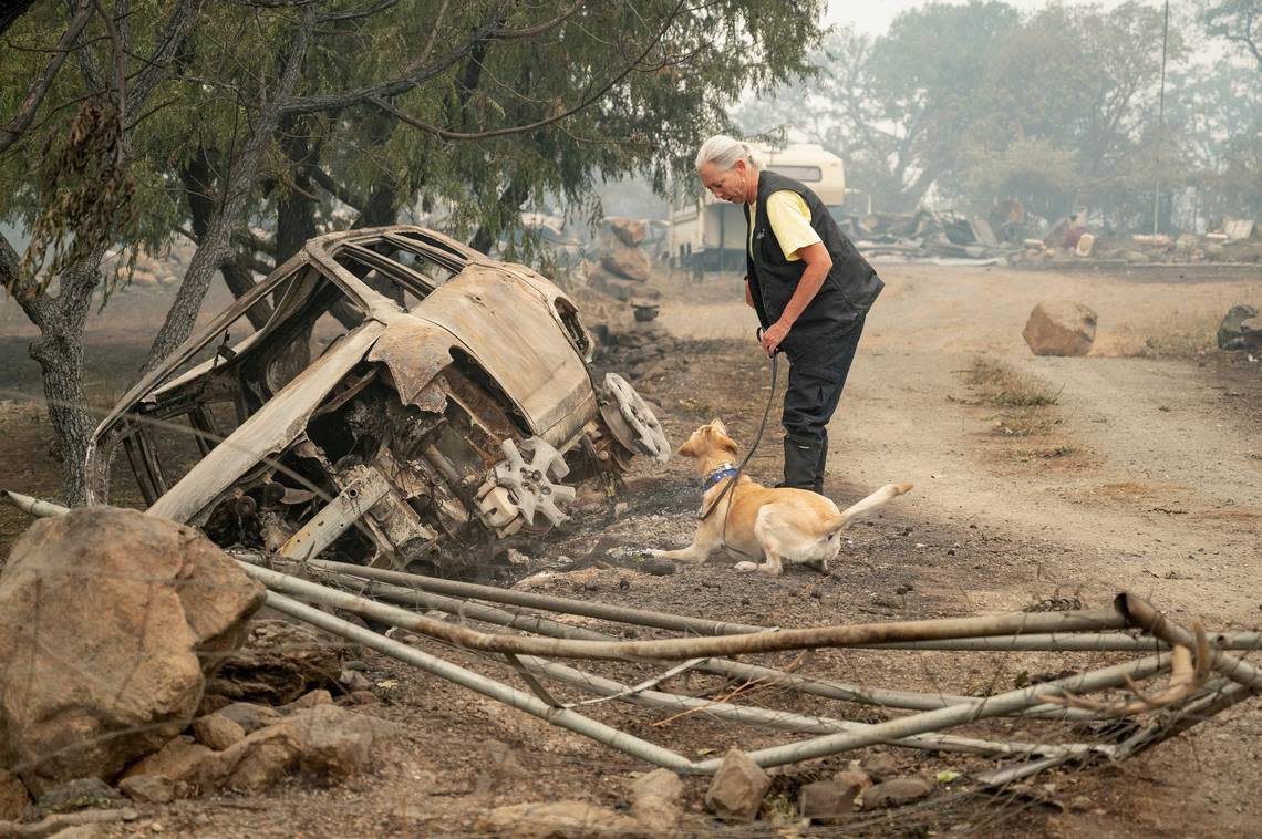 Susan Hobson, K9 handler, looks to her do after it signals near the car where the remains of two bodies were found on Doggett Creek Road along Highway 96 as the McKinney Fire burns in Klamath National Forest in Siskiyou County on Monday.
