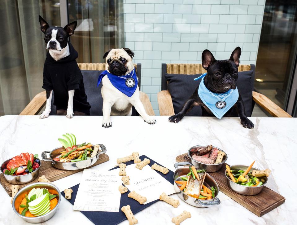 The Wilson's culinary director created a dog-friendly menu after cooking food for his own canine