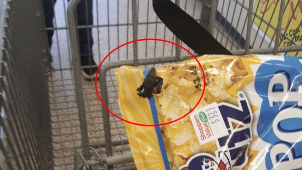 維吉尼亞州某間超市的餅乾冒大洞驚見一隻黑蛇。（圖／翻攝自＠therealdre_jack twitter）