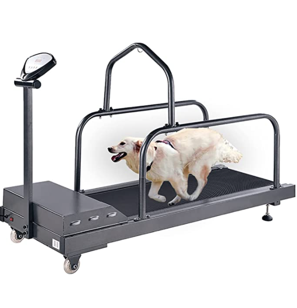 3) SHRFC C200 Dog Treadmill