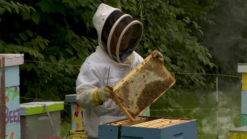 Elizabeth Downs has been practicing beekeeping since she was six.  / Credit: CBS News