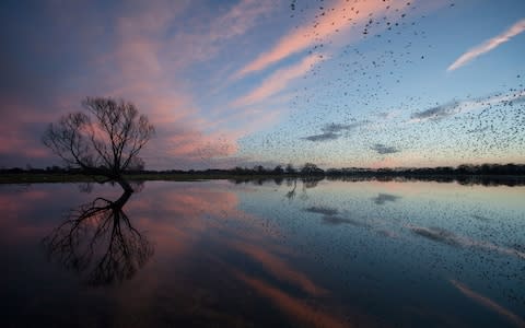 Somerset Levels - Credit: Getty