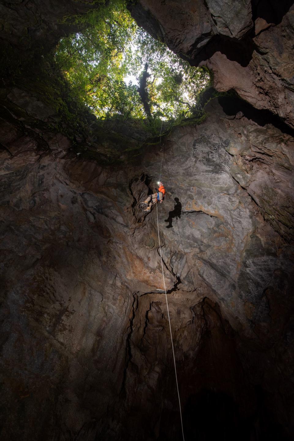 A caver descending into a lit cave with a forest in the opening above